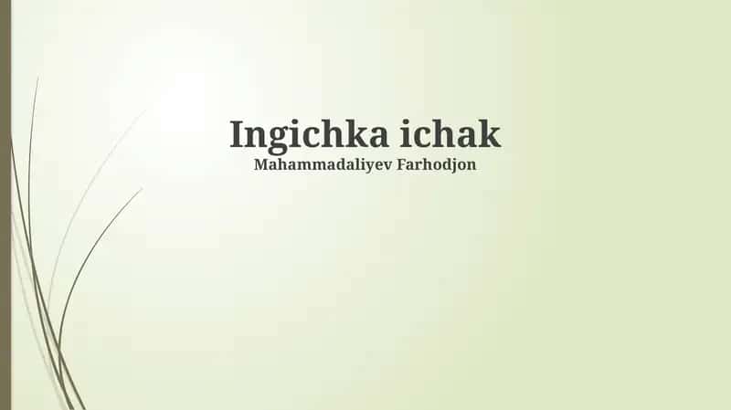 Ingichka ichak