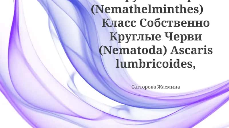 Ascaris lumbricoides
