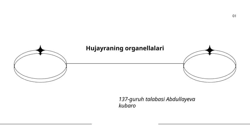 Hujayraning organellalari