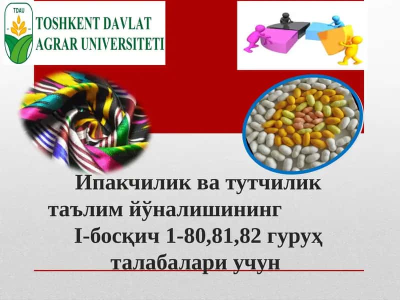 Ипакчилик ва тутчилик