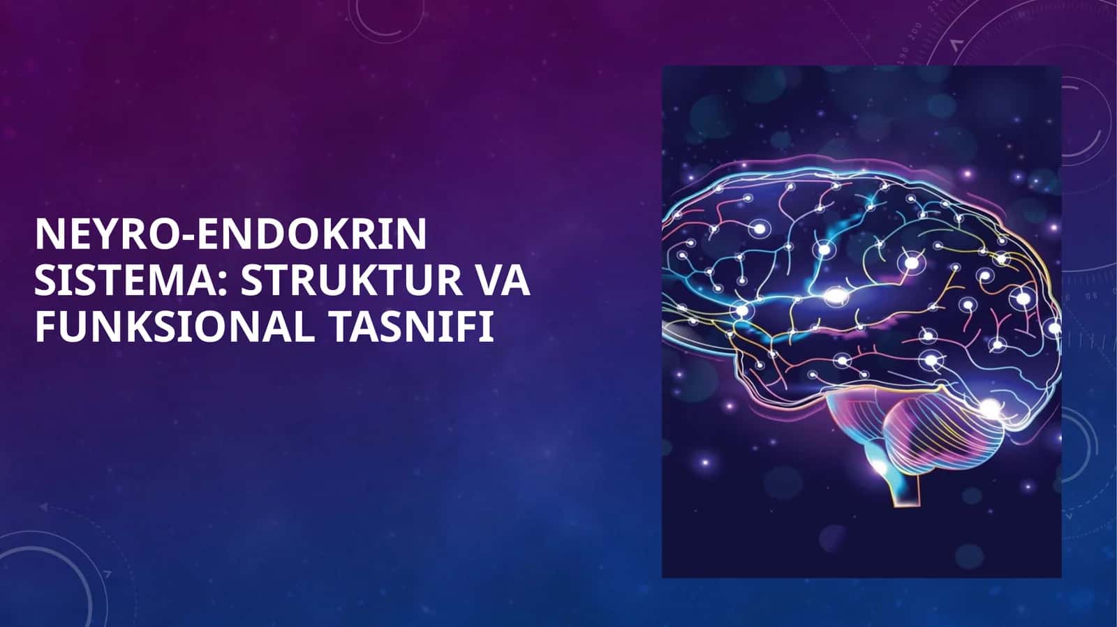 Neyro-endokrin Sistema: Struktur va Funksional Tasnifi