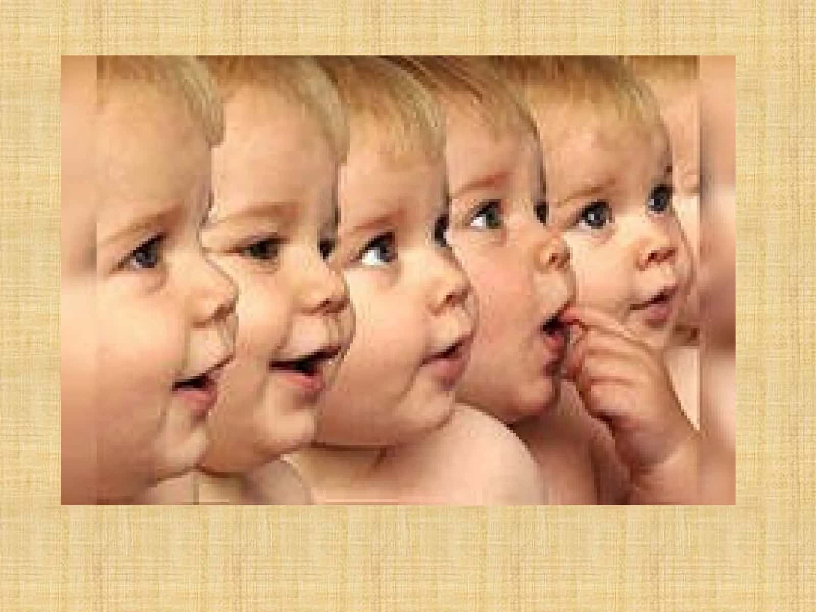 Cloning and DNA Discussion Questions