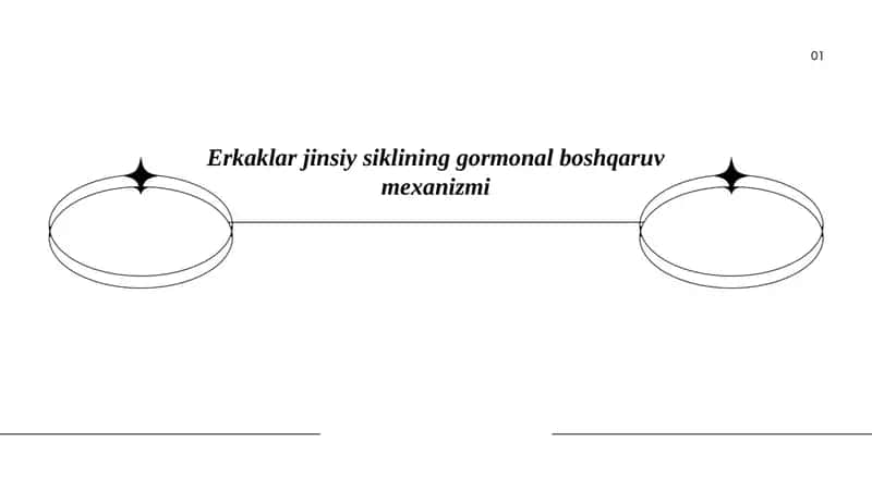 Erkaklar jinsiy siklining gormonal boshqaruv mexanizmi