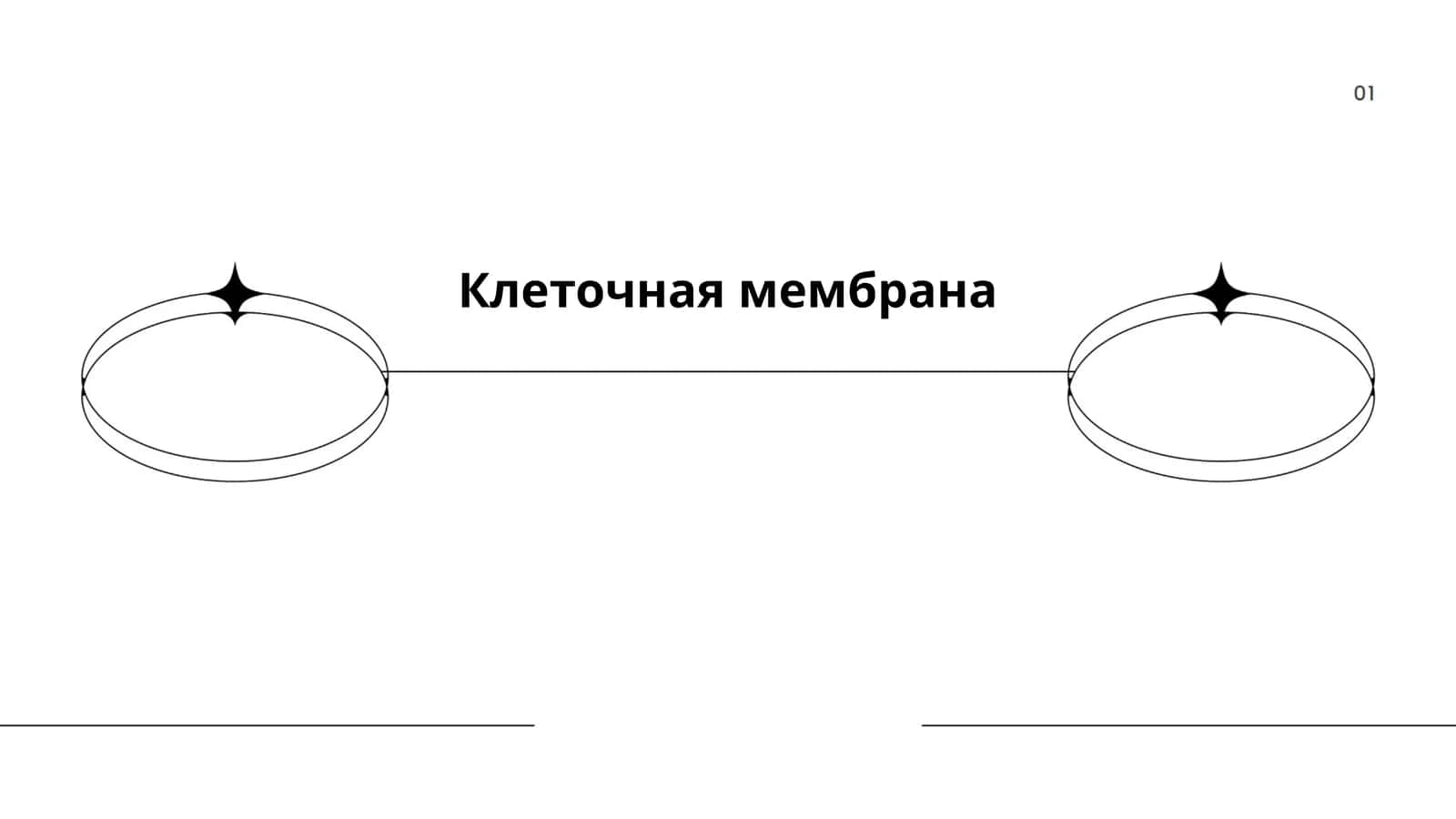 Клеточная мембрана