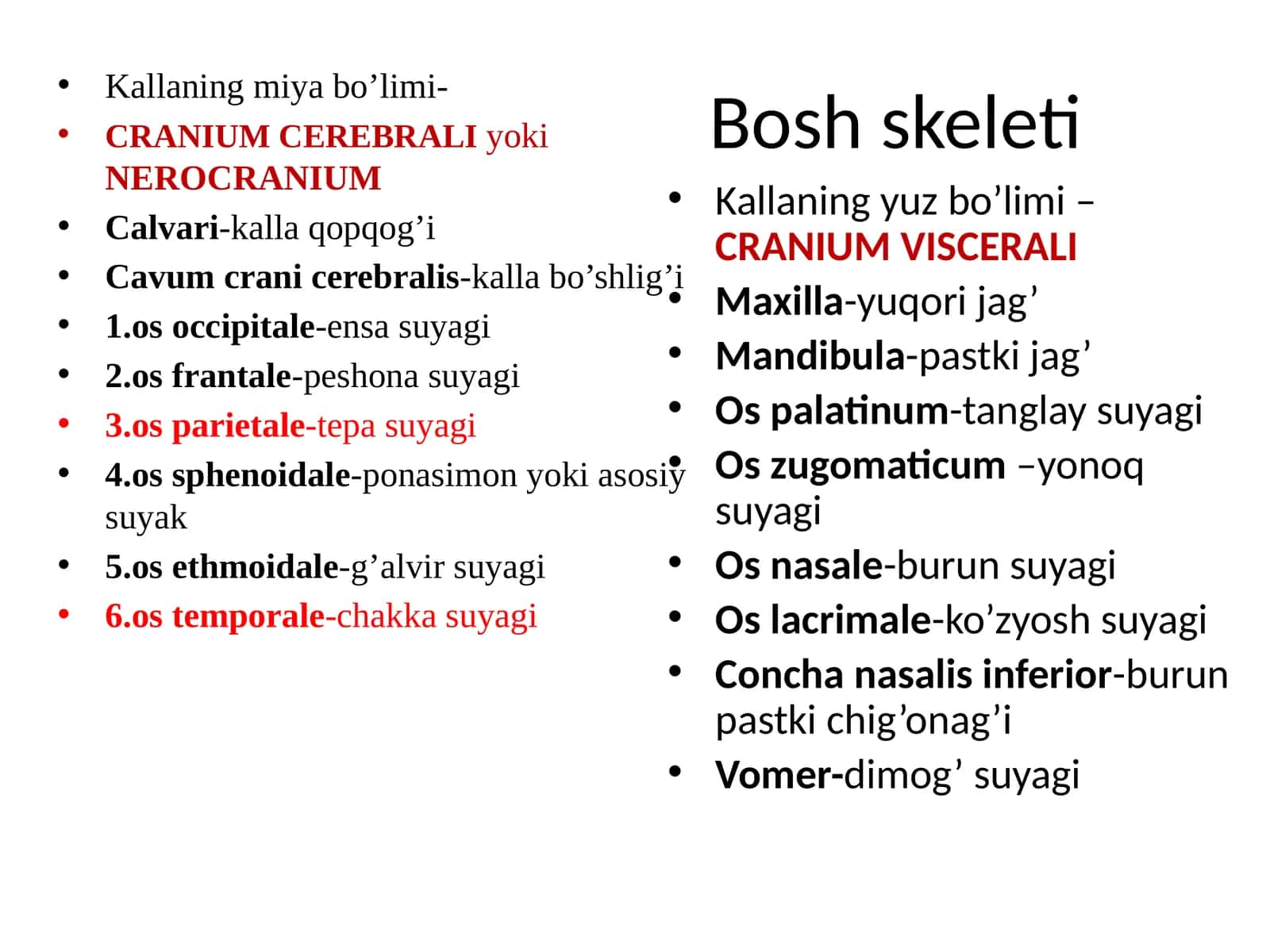 Boshskeleti