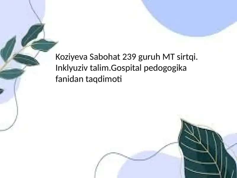 Inklyuziv ta'lim va alohida yordamga muhtoj bolalar