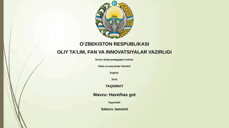 Mavzu: Have/has got