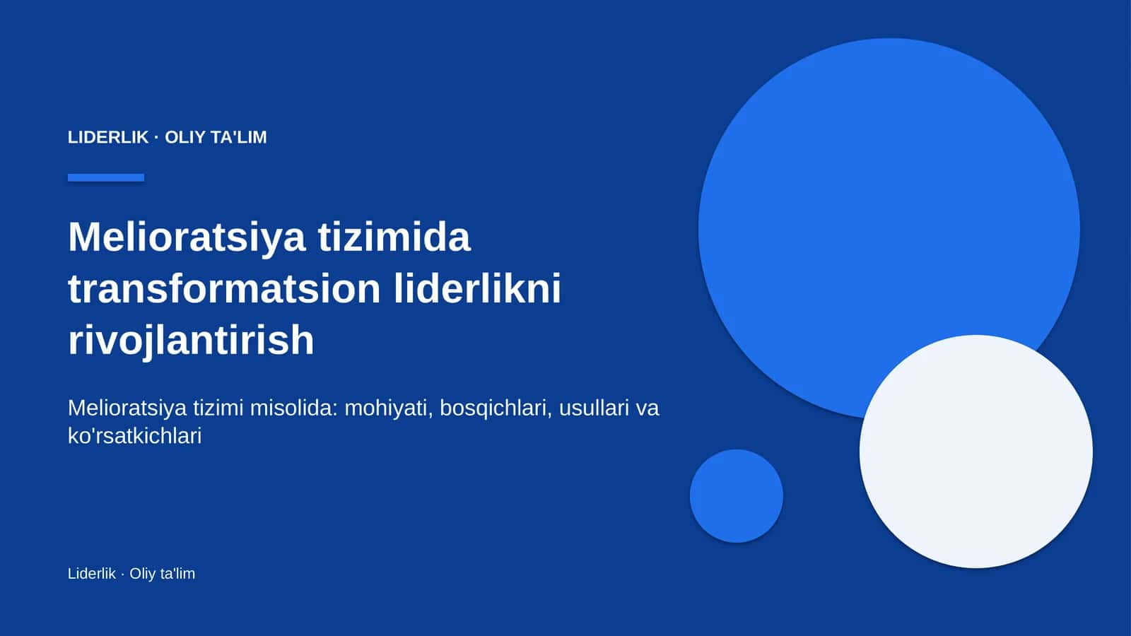 melioratsiya tizimida transformatsion liderlikni rivojlantirish 2374