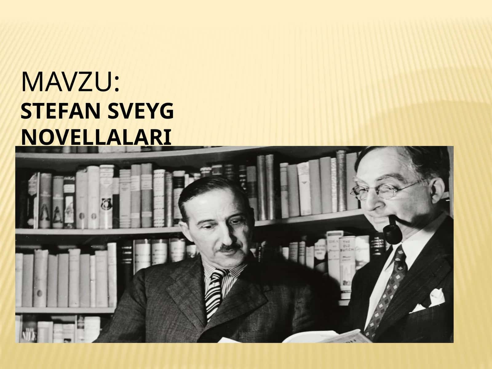 STEFAN SVEYG NOVELLALARI