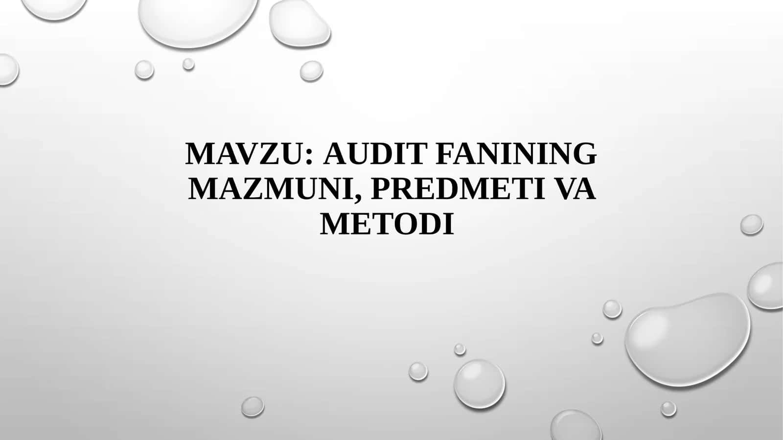 Auditning predmeti va ob’yektlari