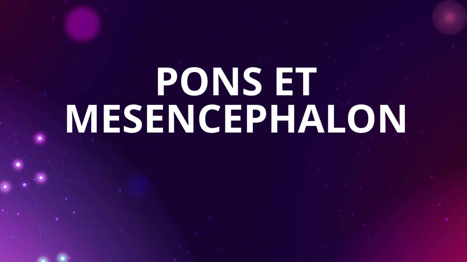 PONS ET MESENCEPHALON