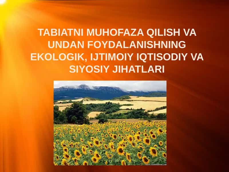 TABIATNI MUHOFAZA QILISH VA UNDAN FOYDALANISHNING EKOLOGIK, IJTIMOIY IQTISODIY VA SIYOSIY JIHATLARI