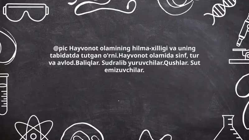 Hayvonot olamining xilma-xilligi