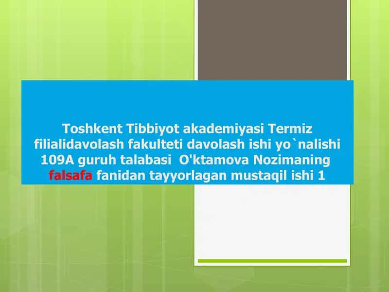 Falsafa fanidan tayyorlagan mustaqil ish