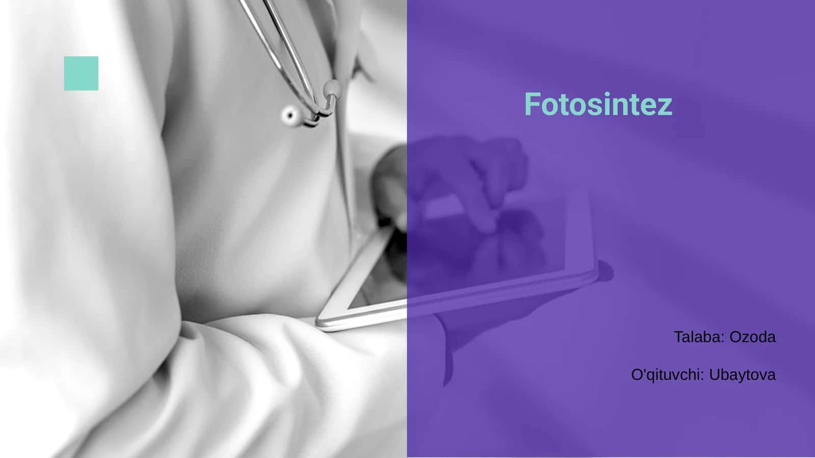 Fotosintez