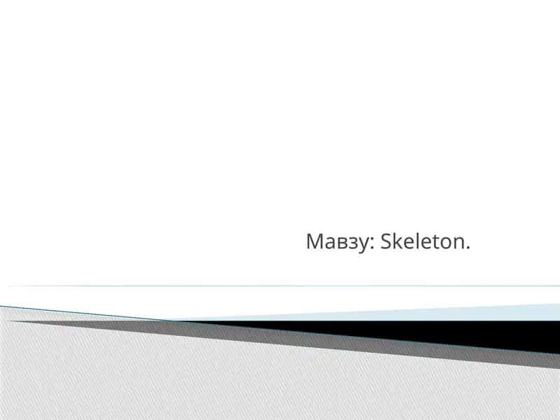 Skeleton