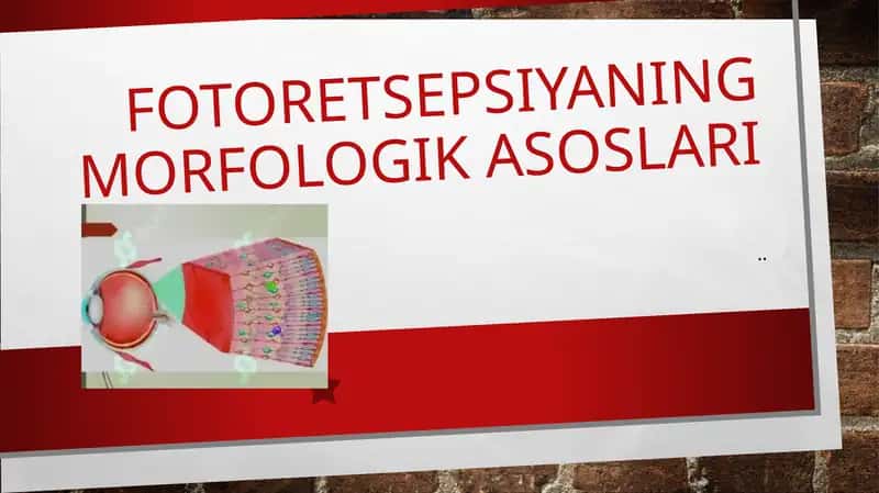 Fotoretsepsiyaning morfologik asoslari