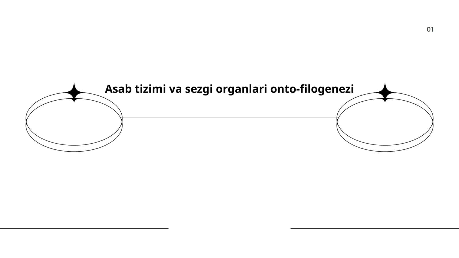 Asab tizimi va sezgi organlari onto-filogenezi