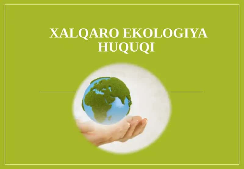 Xalqaro ekologiya huquqi