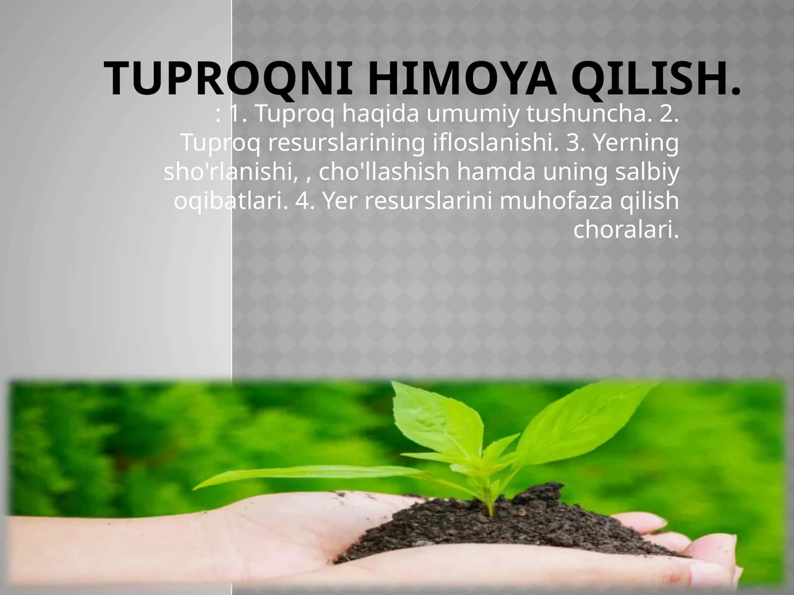 Tuproqni himoya qilish