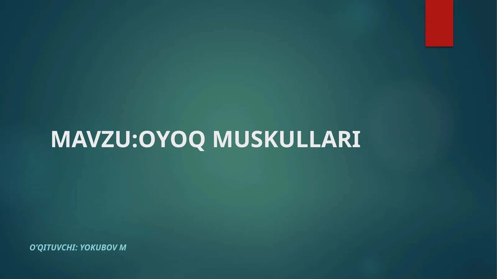 OYOQ MUSKULLARI