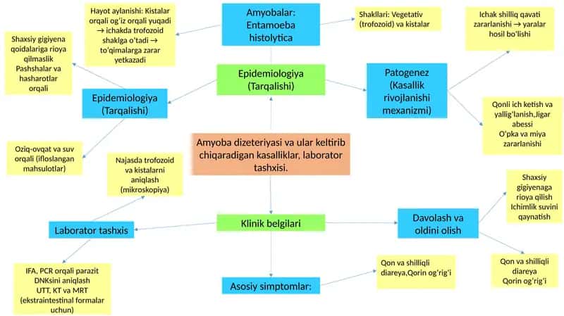 Amyoba dizeteriyasi va ular keltirib chiqaradigan kasalliklar
