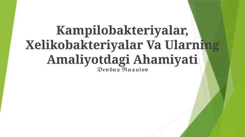 Kampilobakteriyalar, Xelikobakteriyalar Va Ularning Amaliyotdagi Ahamiyati