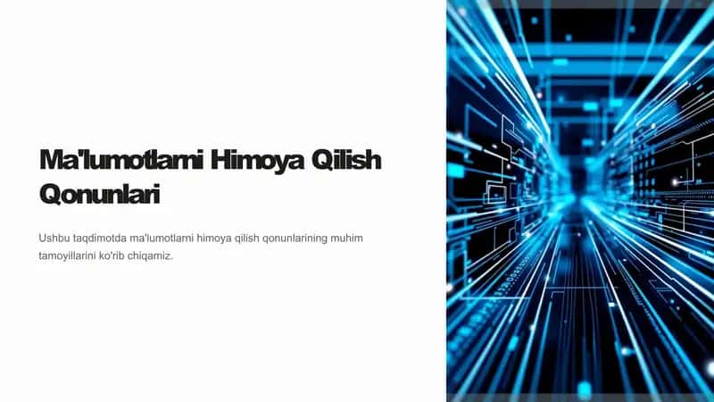 Ma'lumotlarni himoya qilish qonunlari