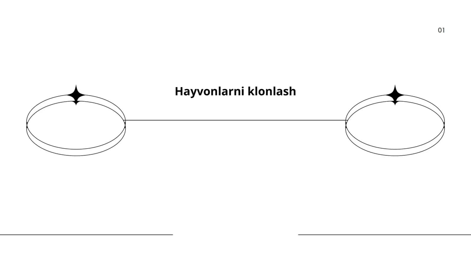 Hayvonlarni klonlash