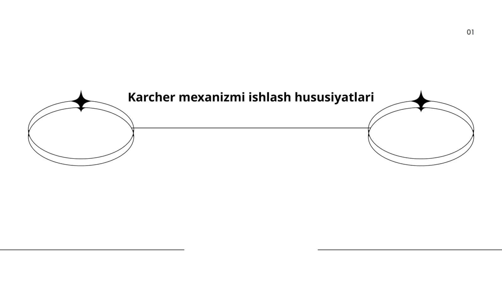 Karcher mexanizmi ishlash hususiyatlari