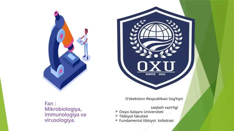 Bakteriya hujayrasining tuzilishi