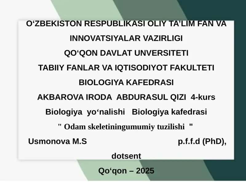 Odam skeletini umumiy tuzulishi