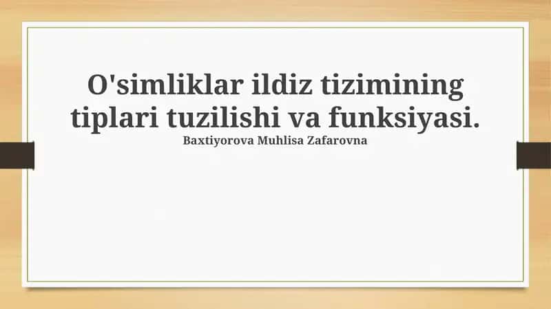 O'simliklar ildiz tizimining tiplari tuzilishi va funksiyasi