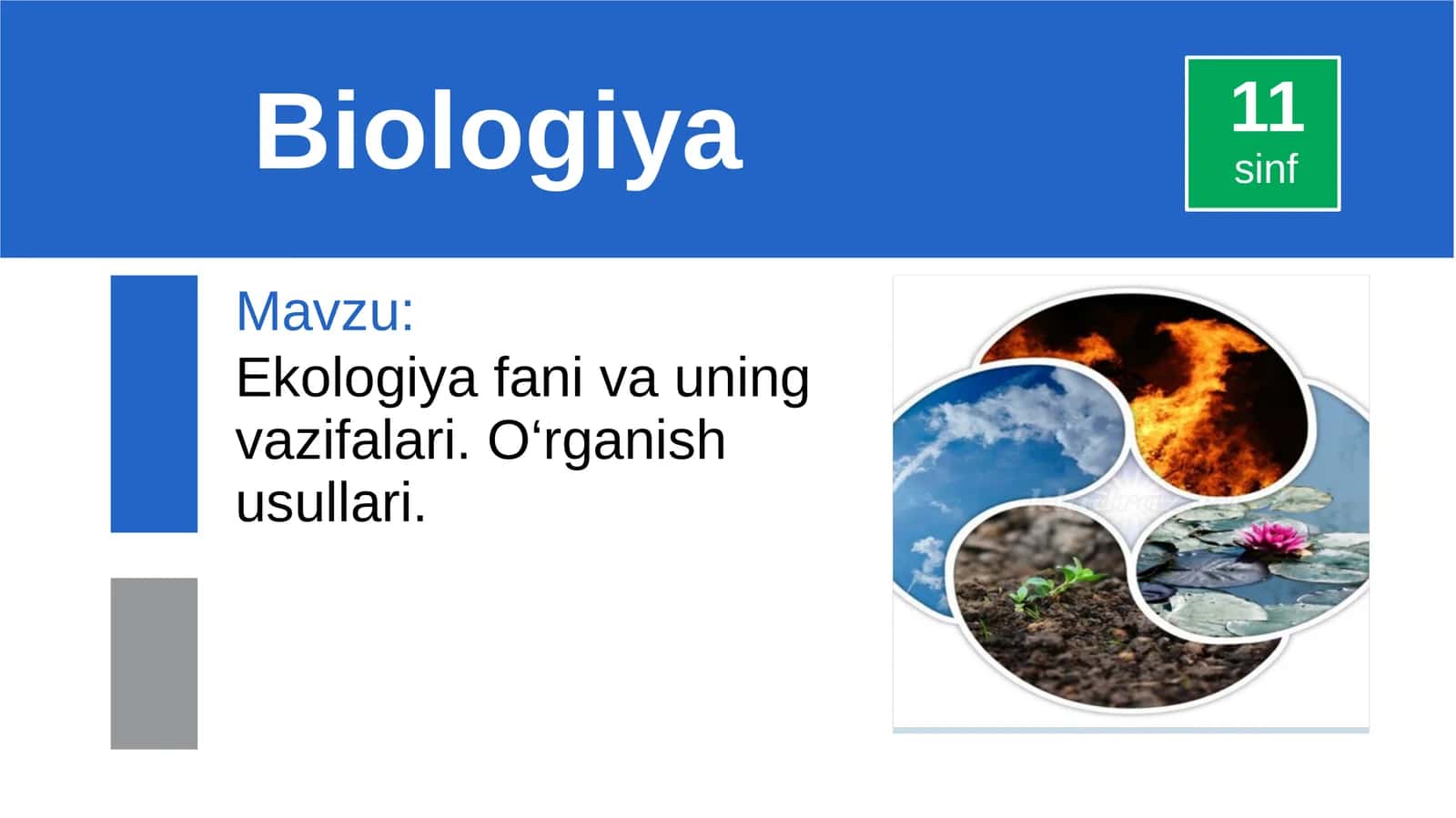Ekologiya fani va uning vazifalari. O‘rganish usullari