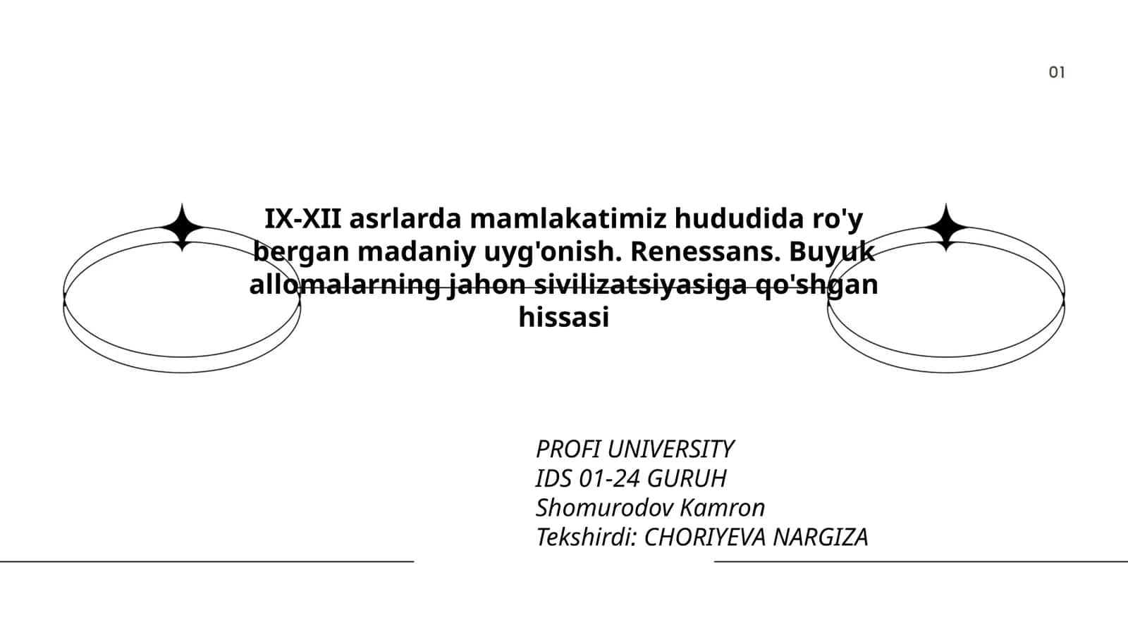 Profi University IDS 01-24 Guruh