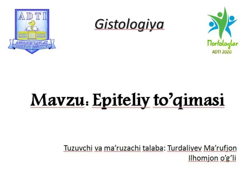 Epiteliyto’qimasi