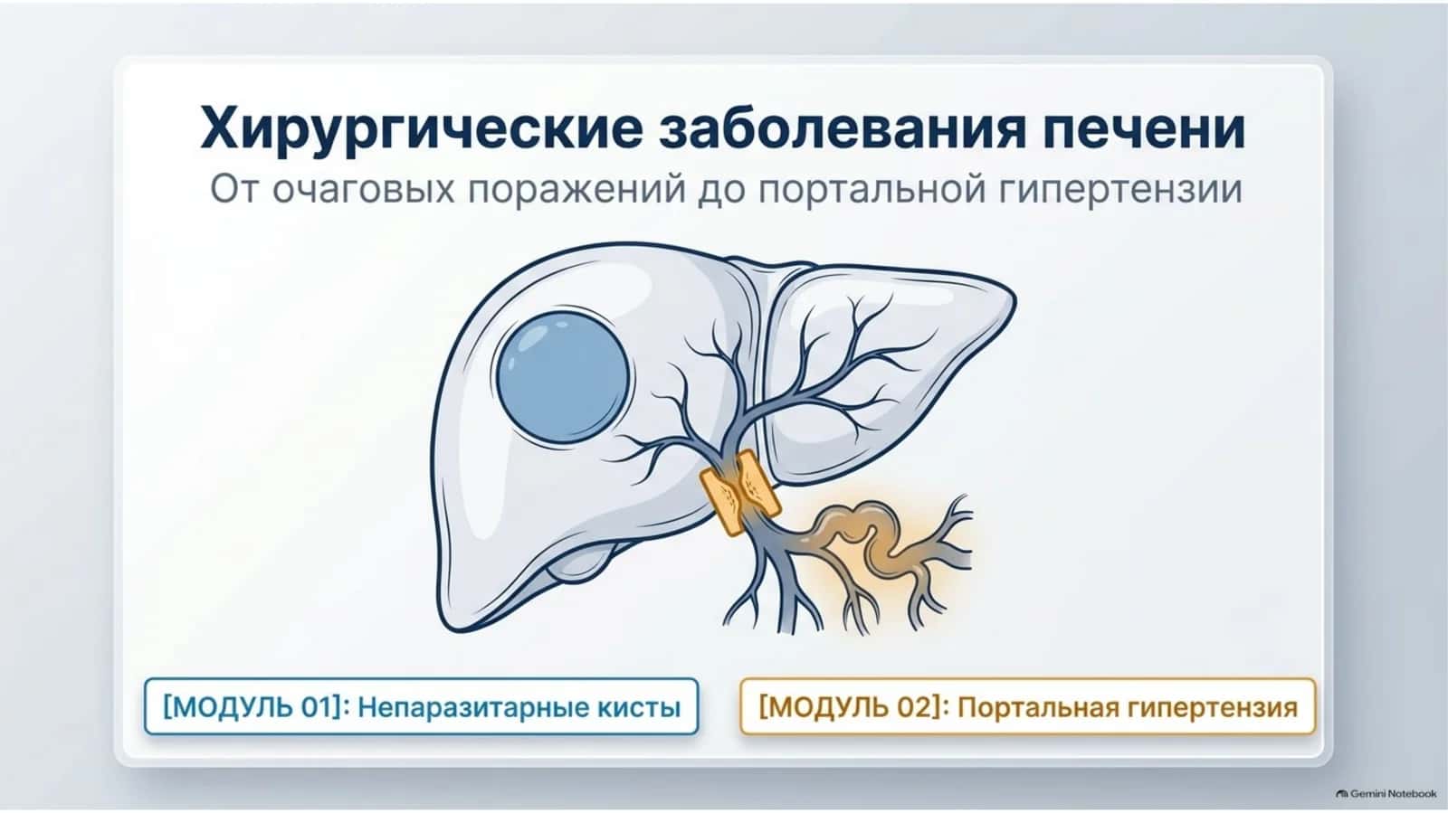 Хирургические заболевания печени