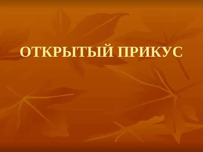 ОТКРЫТЫЙ ПРИКУС