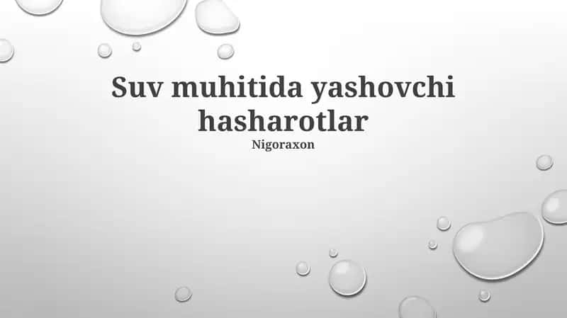 Botqoq Oziq-Ovqat Zanjirlari va Hasharotlarning Roli