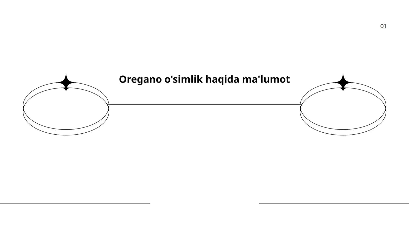 Oregano o'simlik haqida ma'lumot