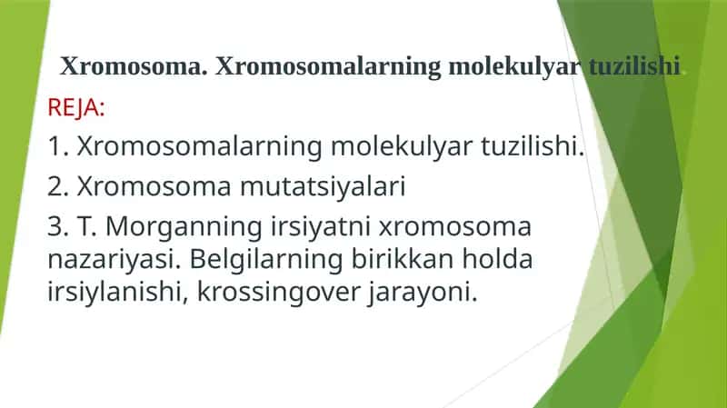 Xromosoma. Xromosomalarning molekulyar tuzilishi.