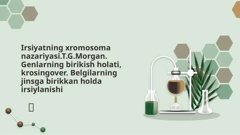 Irsiyatning xromosoma nazariyasi.T.G.Morgan. Genlarning birikish holati, krosingover. Belgilarning jinsga birikkan holda irsiylanishi