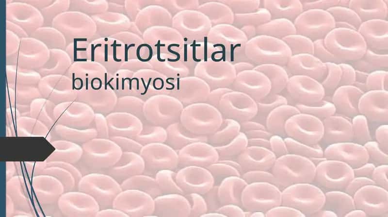 Eritrotsitlarbiokimyosi