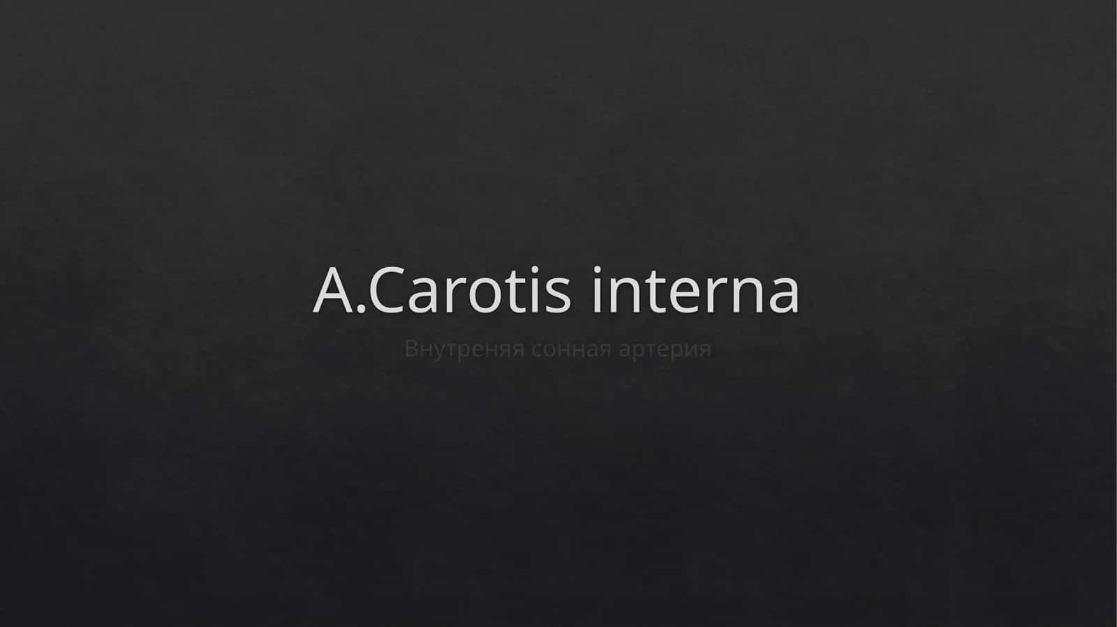 A.Carotisinterna