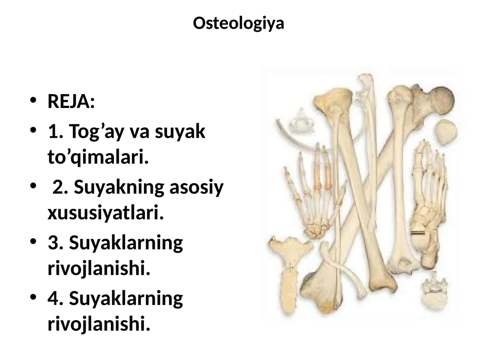 Osteologiya