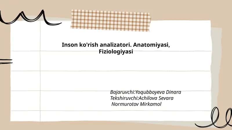 Inson ko'rish analizatori. Anatomiyasi, Fiziologiyasi