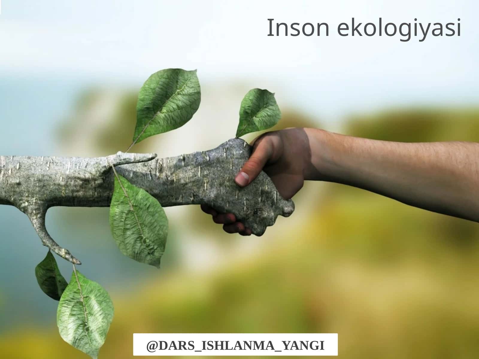 Inson ekologiyasi