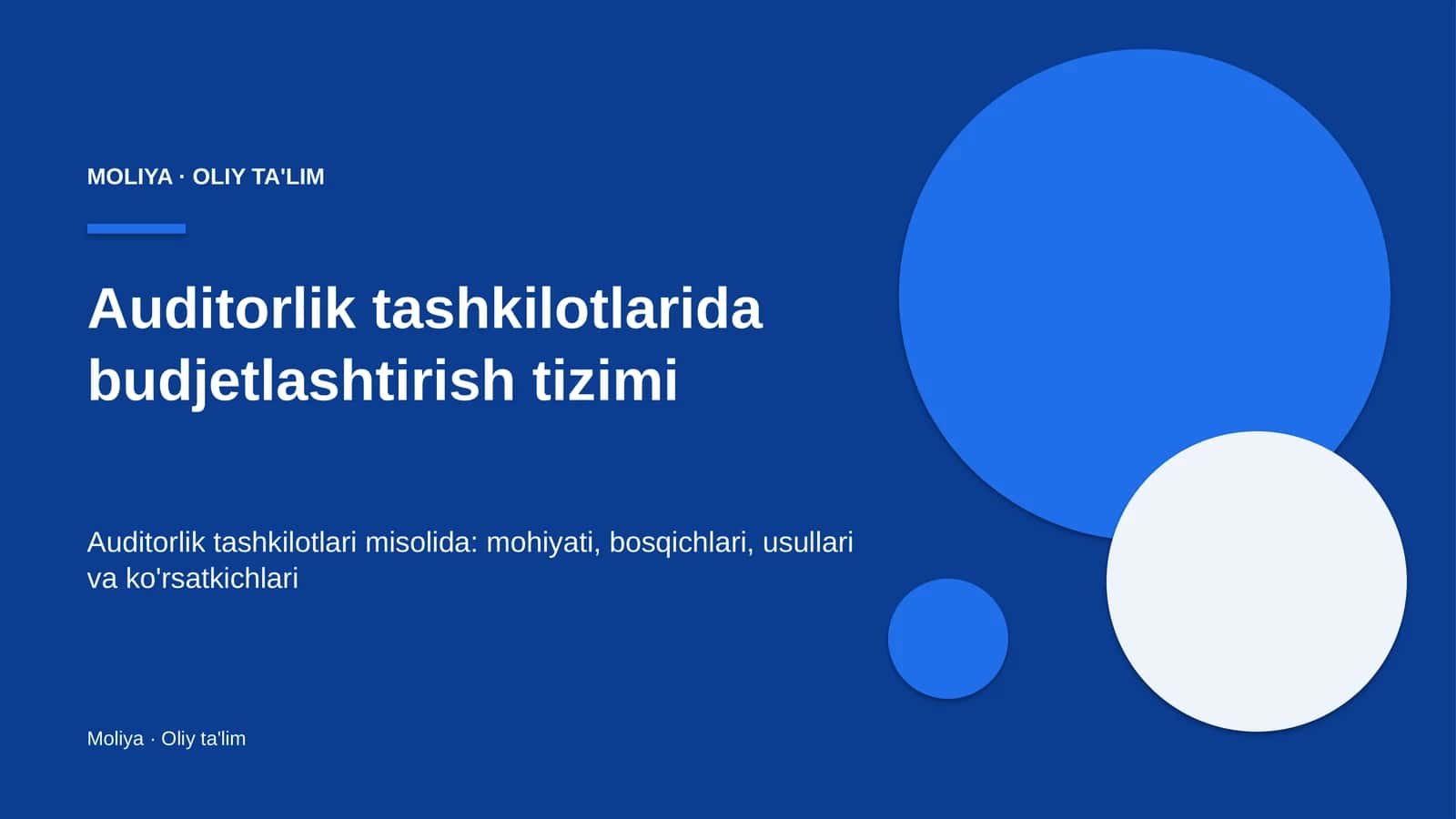 Auditorlik tashkilotlarida budjetlashtirish tizimi