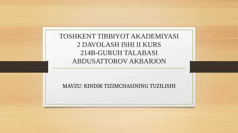 KINDIK TIZIMCHASI