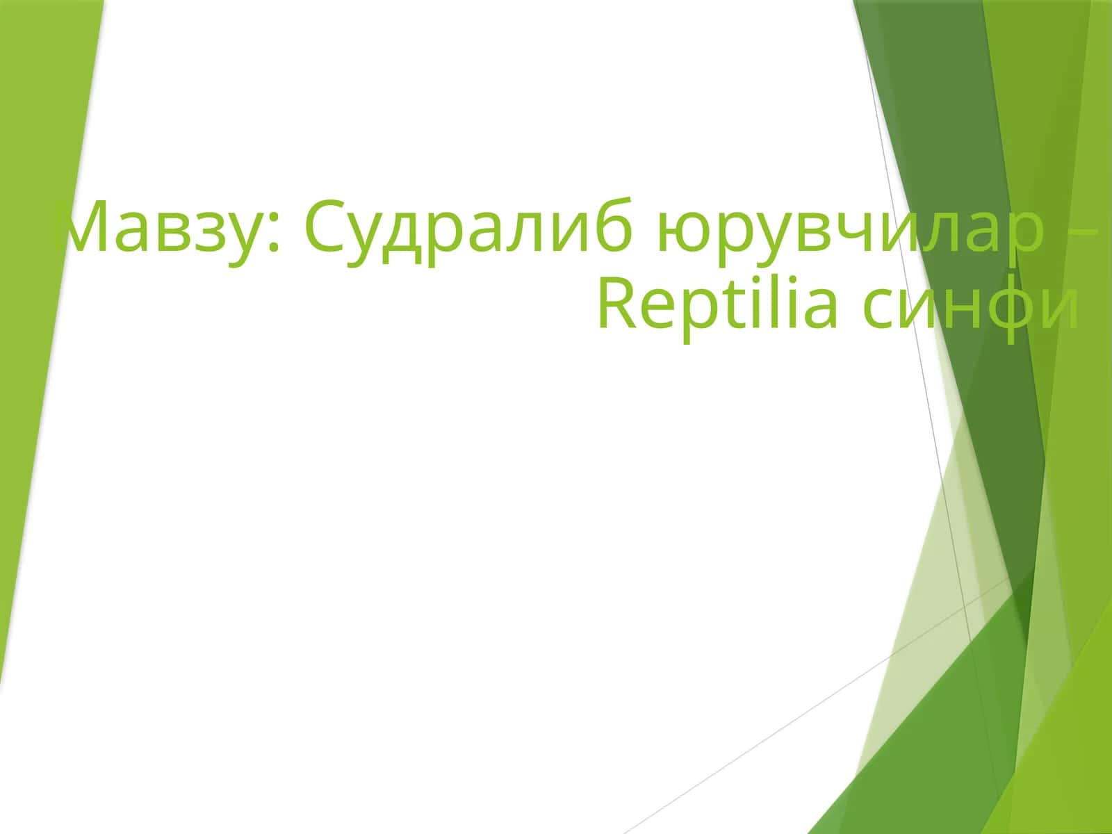 Судралиб юрувчилар – Reptilia синфи